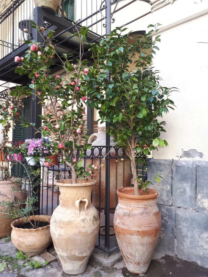 קטאניה Mamarico' Apartament מראה חיצוני תמונה