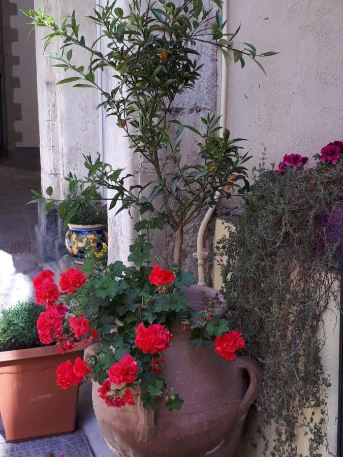 קטאניה Mamarico' Apartament מראה חיצוני תמונה